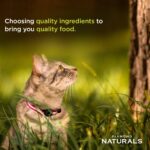 Diamond Naturals Indoor Chicken Cat Food