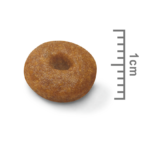 Royal Canin Dry Dog Food Maxi Starter