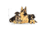 Royal Canin Dry Dog Food Maxi Starter