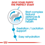 Royal Canin Dry Dog Food Maxi Starter