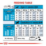 Royal Canin Dry Dog Food Maxi Starter