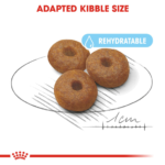Royal Canin Dry Dog Food Maxi Starter