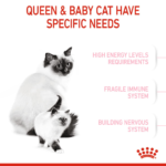 Royal Canin Mother and Baby Dry Cat food