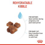 Royal Canin Mother and Baby Dry Cat food