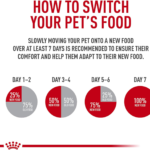 Royal Canin Mother and Baby Dry Cat food