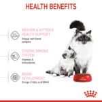 Royal Canin Mother and Baby Dry Cat food