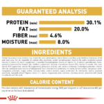 Royal Canin Persian Kitten Dry Food