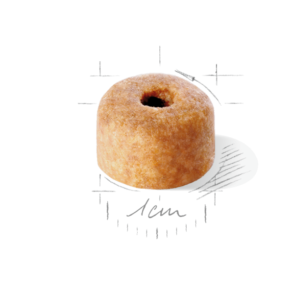 Royal Canin Labrador Retriever Dry Puppy Food