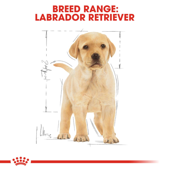 Royal Canin Labrador Retriever Dry Puppy Food
