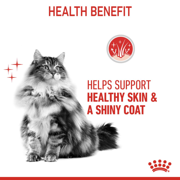Royal Canin Hair and Skin Dry Cat Food
