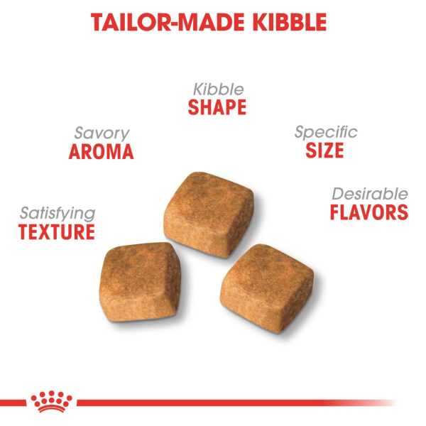 Royal Canin Persian Kitten Dry Food