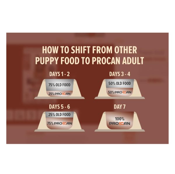 Procan Dry Adult Dog Food