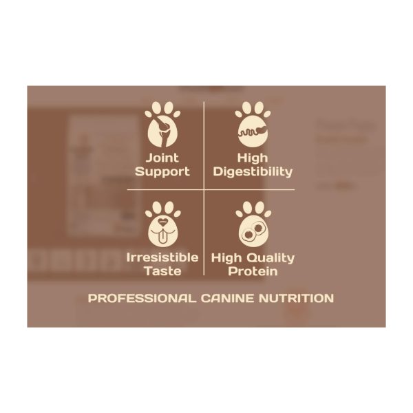 Procan Dry Puppy Food