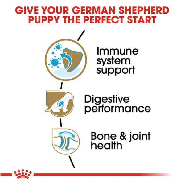 Royal Canin German Shepherd Puppy Dry Dog Food