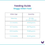 Moggy Dry Kitten Food